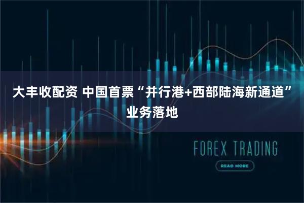 大丰收配资 中国首票“并行港+西部陆海新通道”业务落地