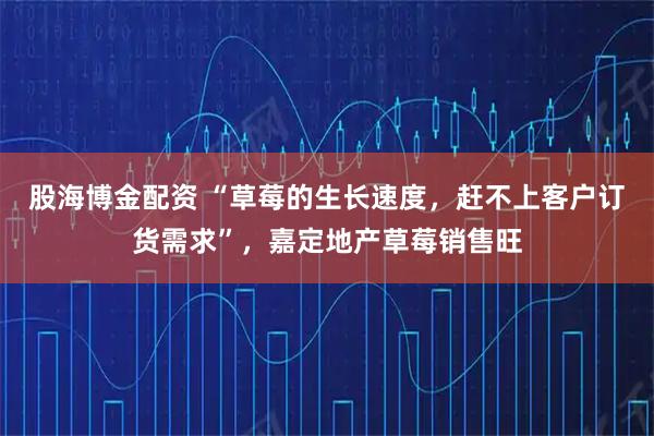 股海博金配资 “草莓的生长速度，赶不上客户订货需求”，嘉定地产草莓销售旺
