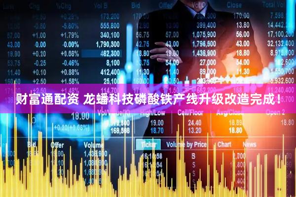 财富通配资 龙蟠科技磷酸铁产线升级改造完成！